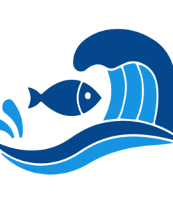 Ocean & Marine Life