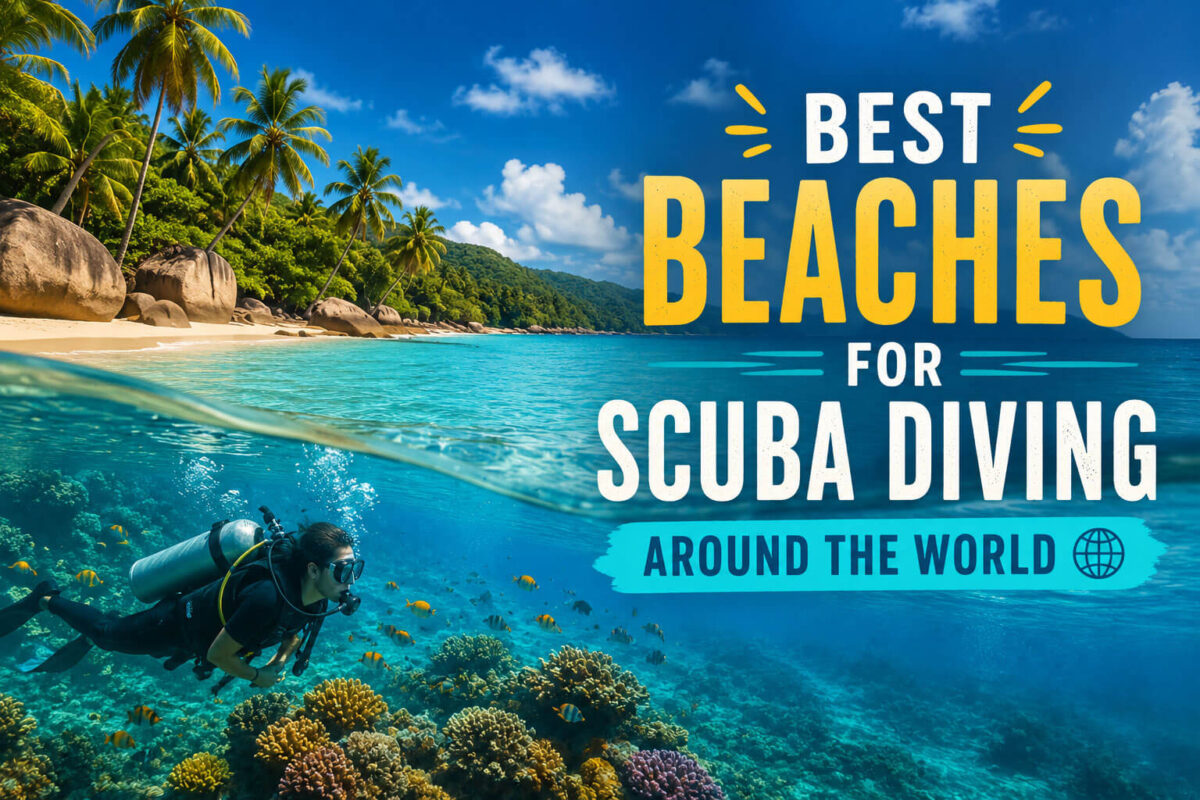 **Alt Text:** Best Beaches for Scuba Diving Around the World featuring crystal-clear tropical waters, colorful coral reefs, vibrant marine life, and scuba divers exploring one of the world's top underwater destinations.